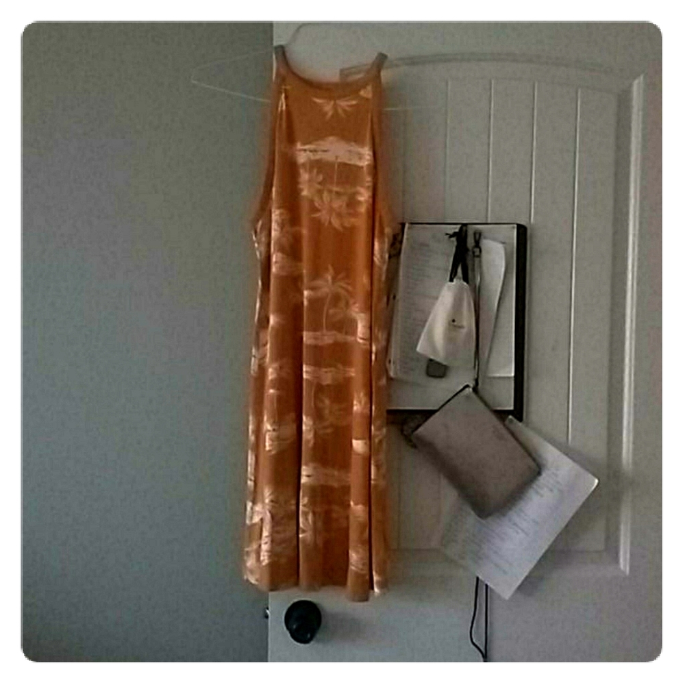 NWOT midi Dress